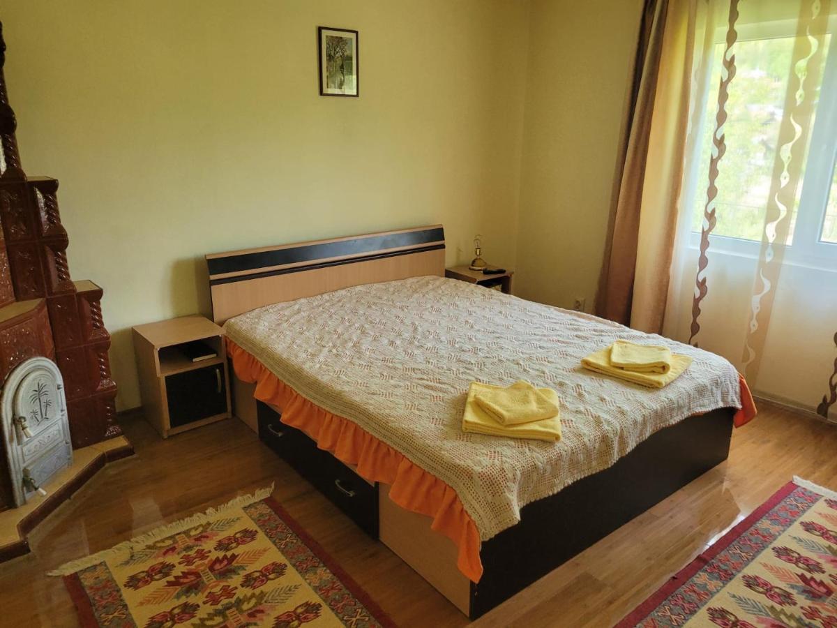Вілла Casa Damian Bertea Екстер'єр фото